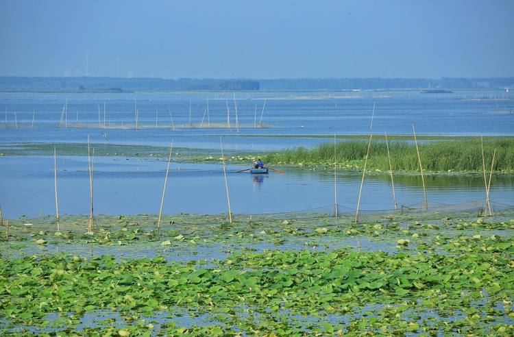 微山湖上打鱼人