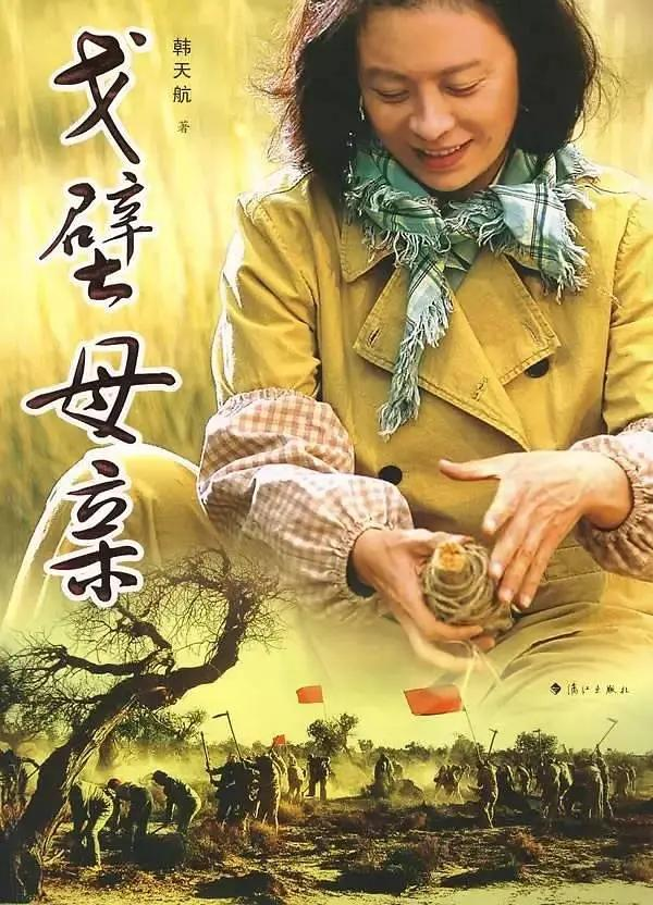 沈好放