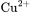 \rm Cu^{2+}