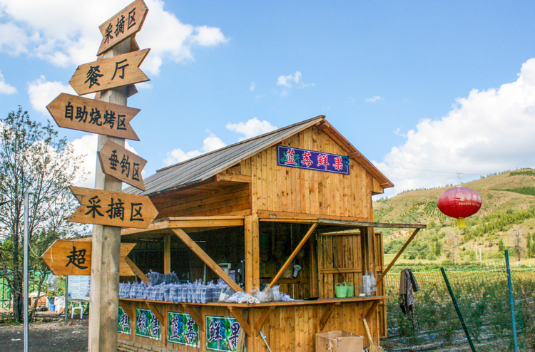 紫玉蓝莓庄园.png