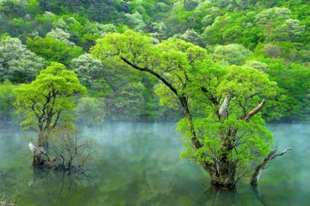亚马孙河