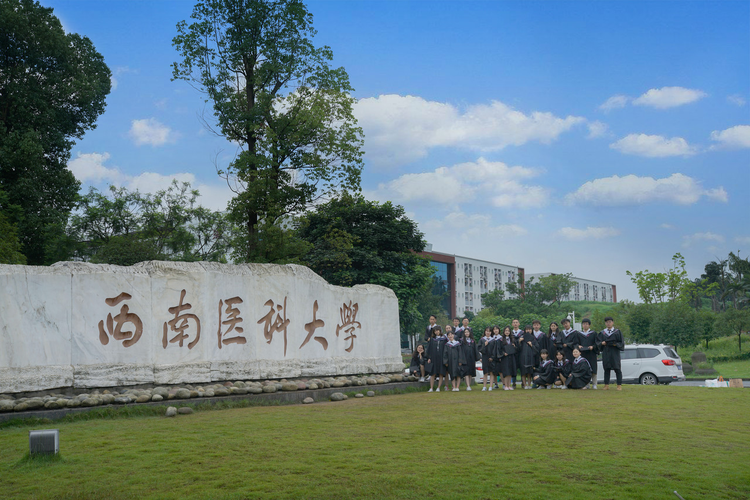 我们终将奔赴各自的人生