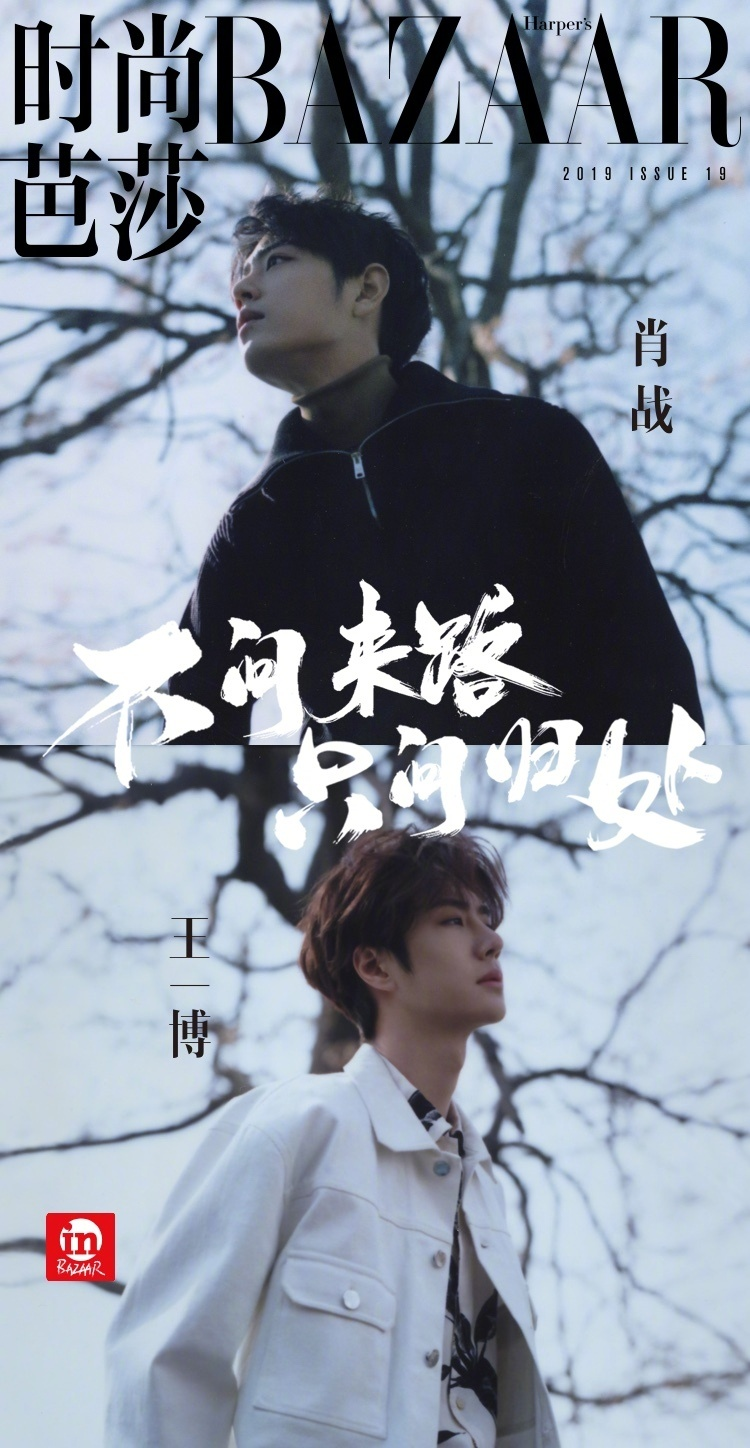 肖战