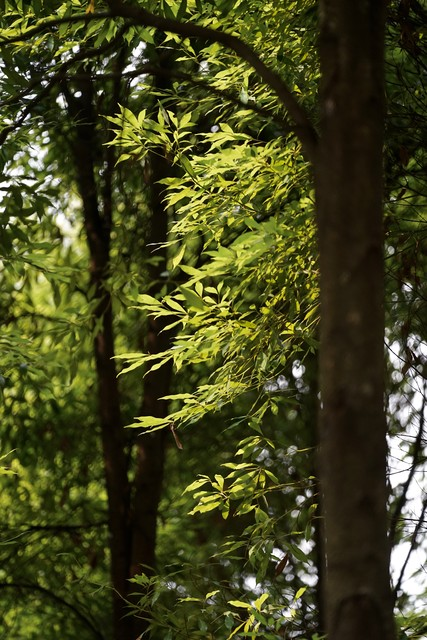 船山区