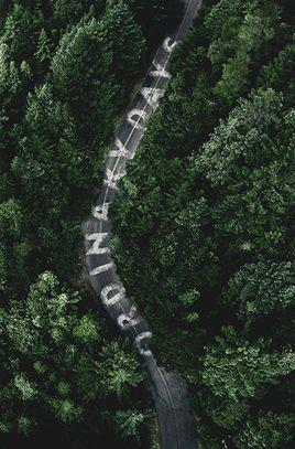 乔利斯·贾斯基