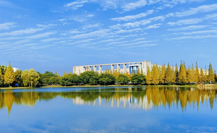 西华大学的晴天