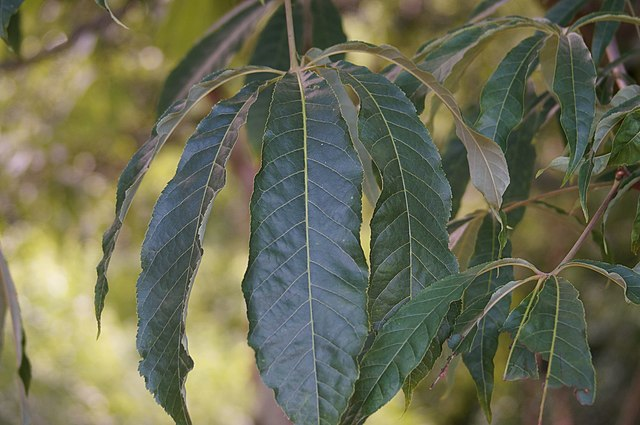 南五台风景名胜区