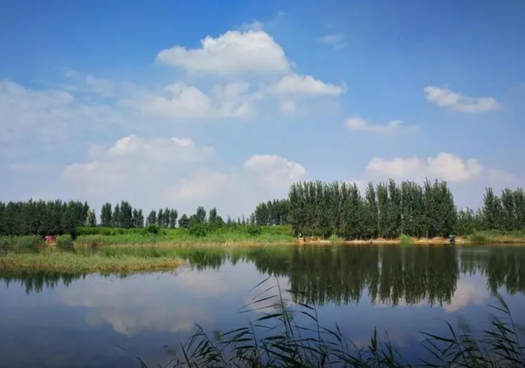 濮阳市