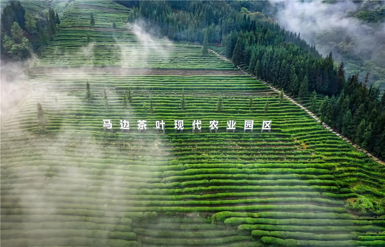 马边彝族自治县