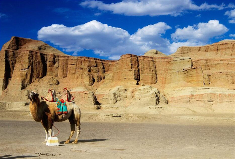 新疆维吾尔自治区