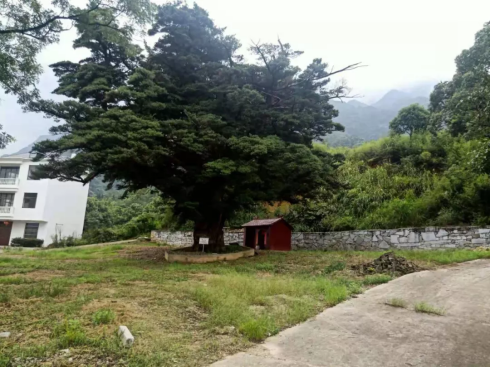 万杉村.png