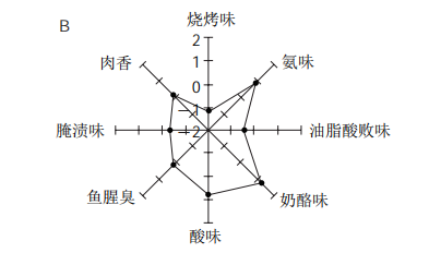 越南.png