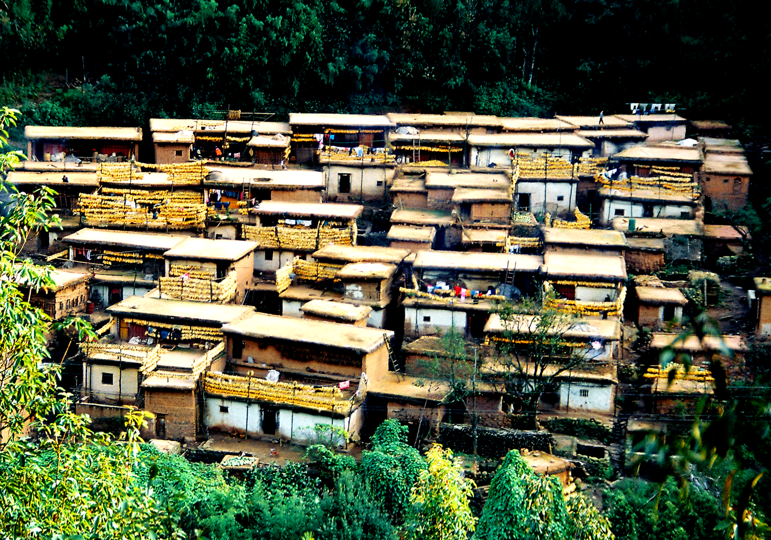 峨山彝族自治县