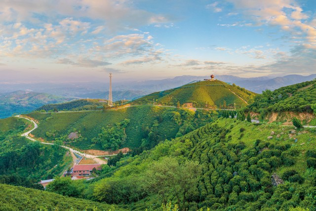 河南省信阳市固始县西九华山茶场黄昏夕照