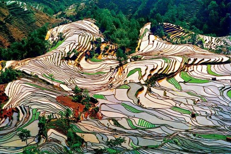 红河哈尼族彝族自治州