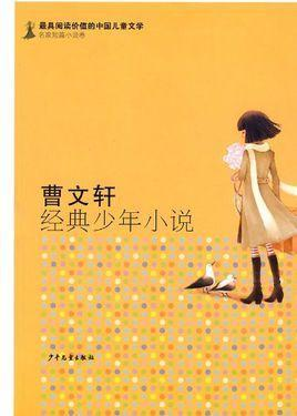 少年