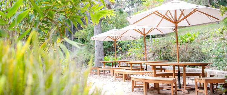 加州大学洛杉矶分校