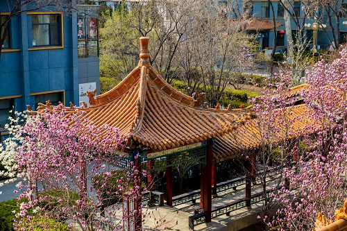 山西金融职业学院