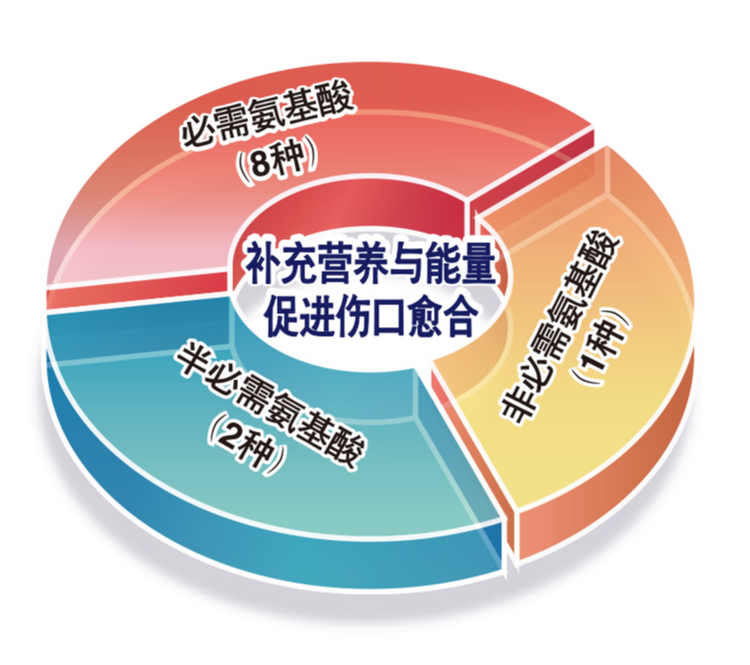 必需氨基酸