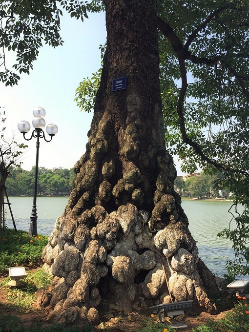 还剑湖