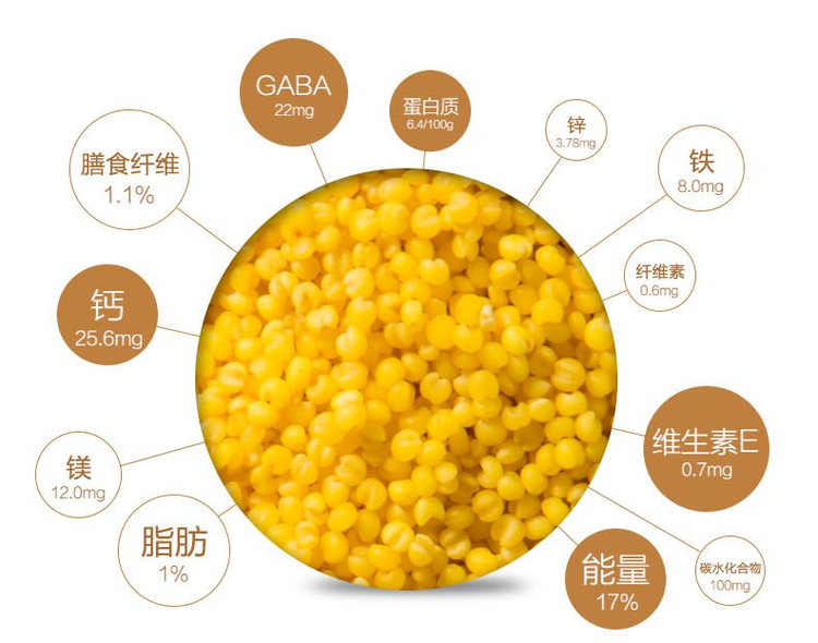 必需氨基酸