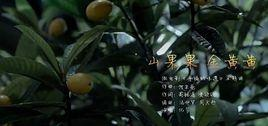 山果果金黄黄