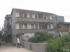 跃进村
