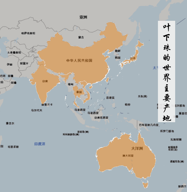 叶下珠