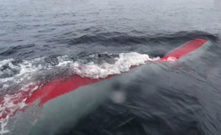 “海啸-5-23”水下核武器系统