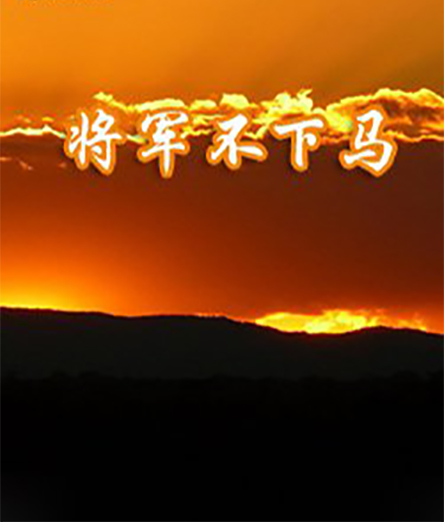 将军不下马