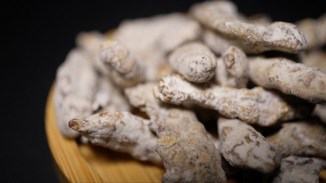 白僵菌