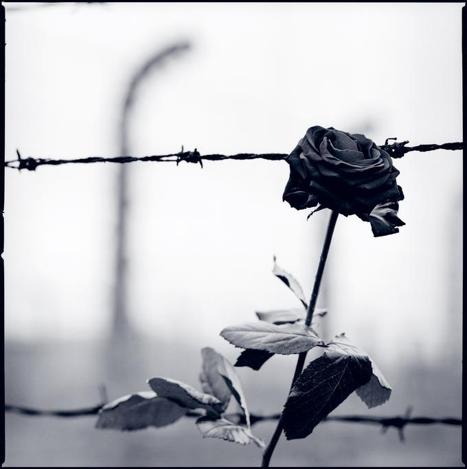 上帝保佑你，罗斯瓦特先生