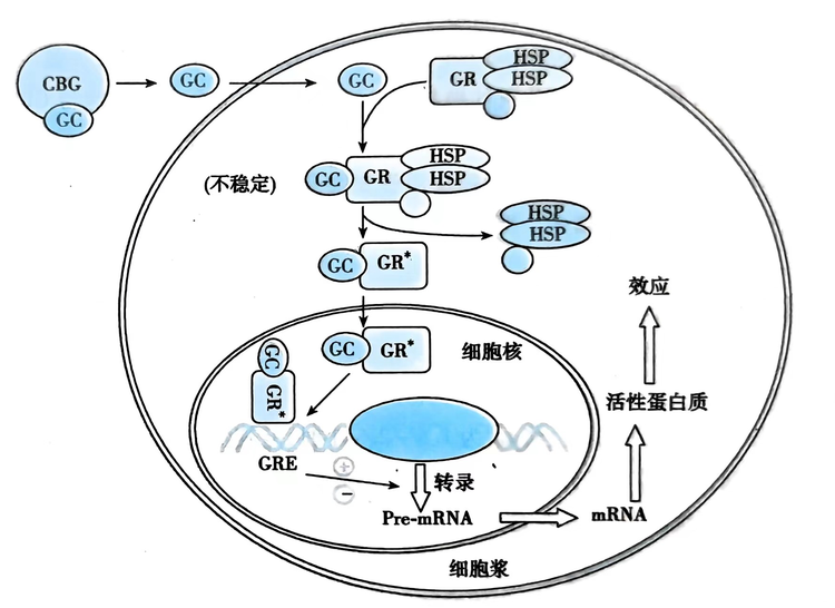 ec13c9c1c48e640cc70e8b55c488ff0.png