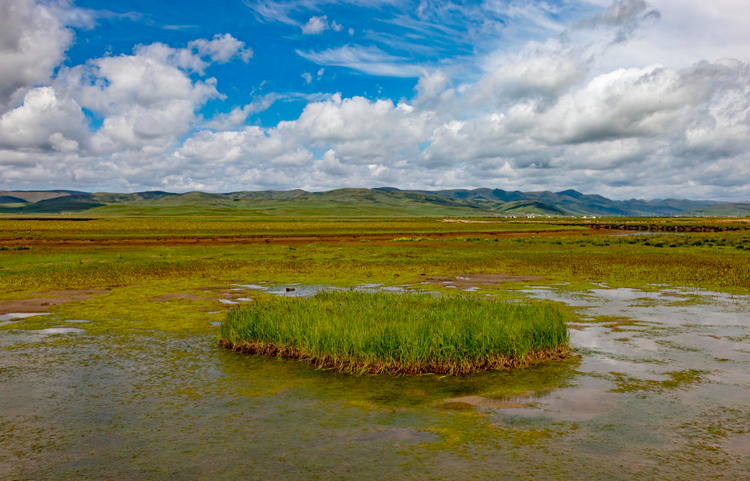 泥拉坝湿地.png