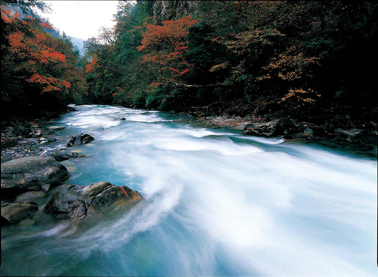 雪宝顶自然保护区