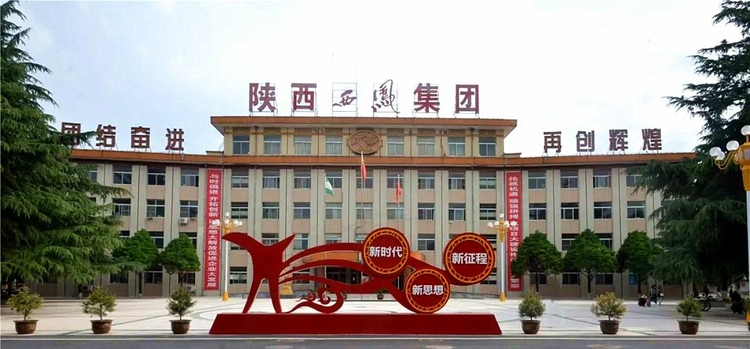 陕西西凤集团.jpeg