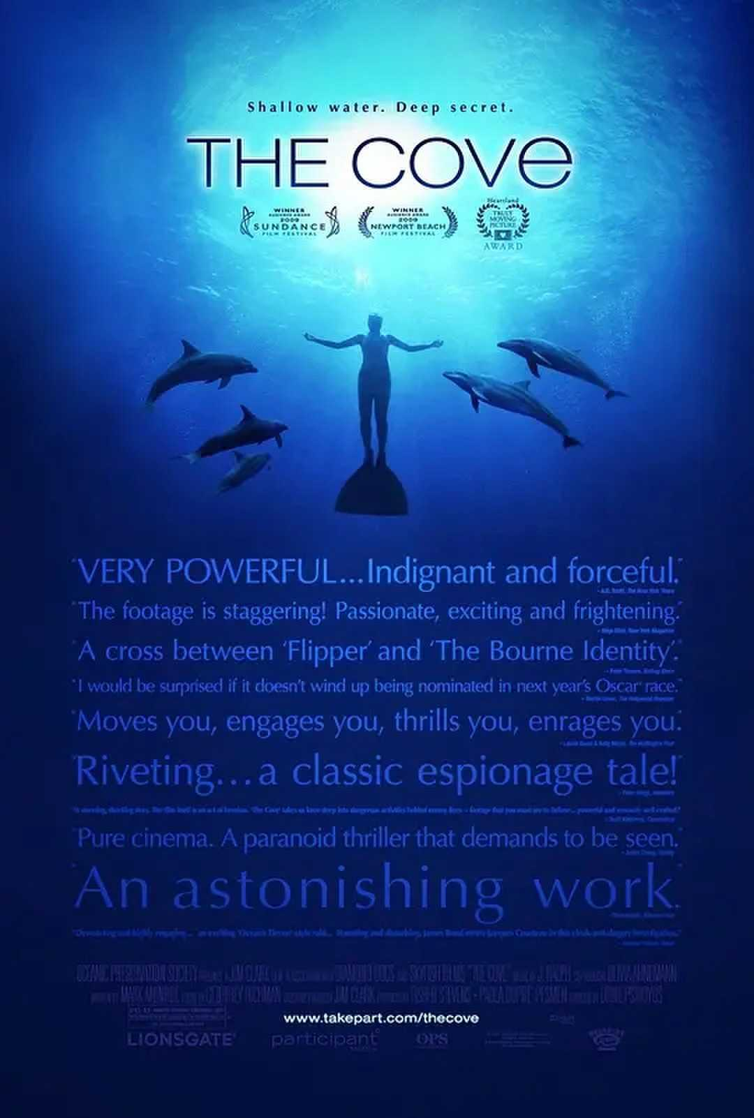 海豚湾