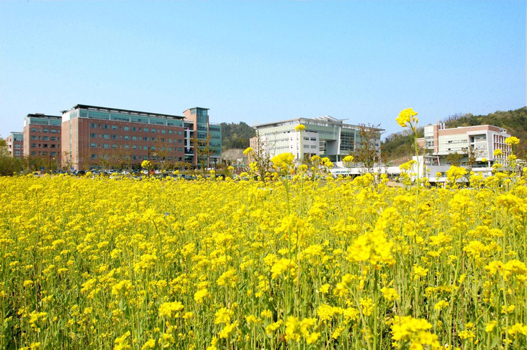 韩国金乌国立工科大学
