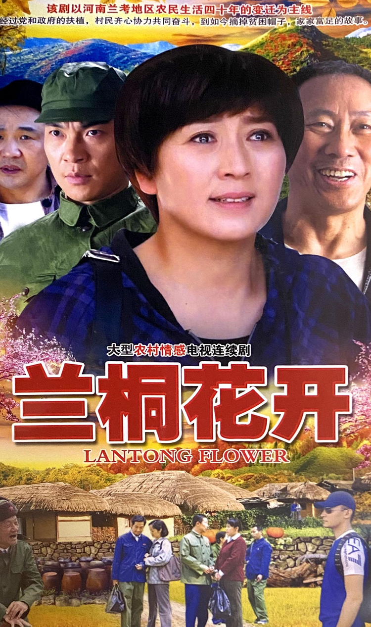 兰桐花开海报