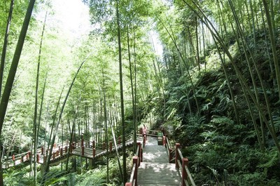赤水市