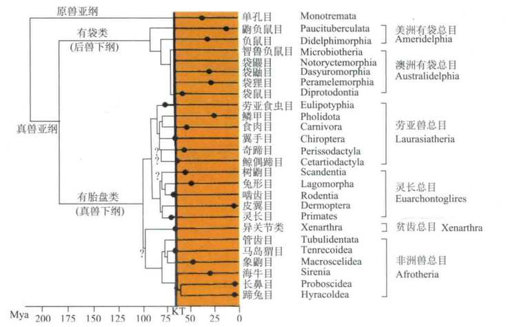 粘贴图片1-1694526465425.png