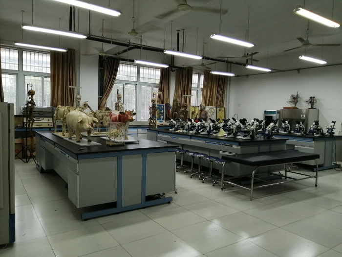 阜阳师范大学