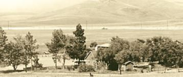 加利福尼亚大学尔湾分校