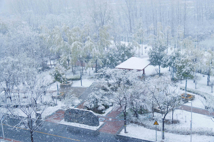 郑州信息工程职业学院