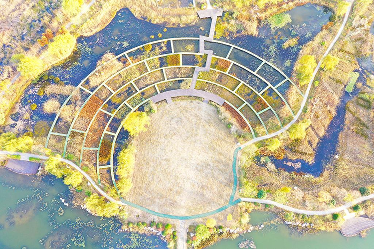 洪泽湖湿地景区