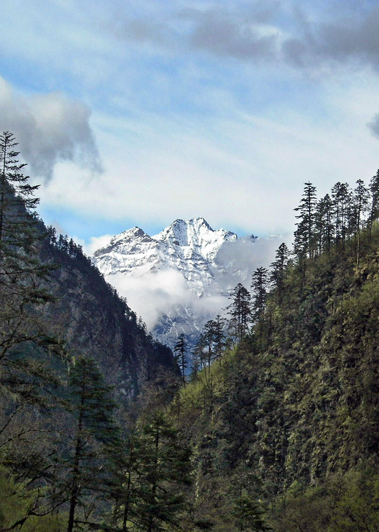 雪宝顶自然保护区