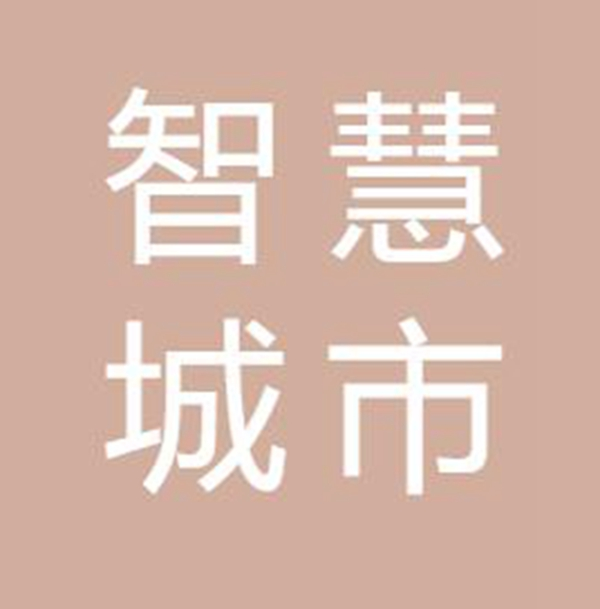 广东东莞智慧城市投资建设运营有限公司