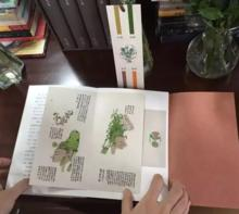 读者可以将书中的画手工撕成独立页面