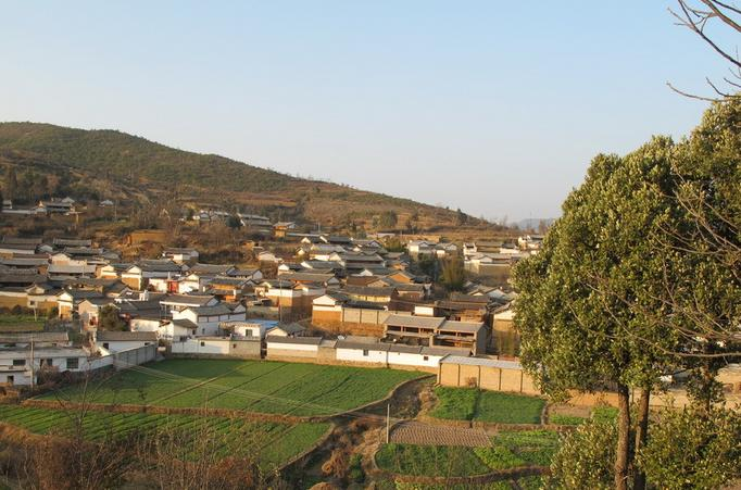清水河大营村