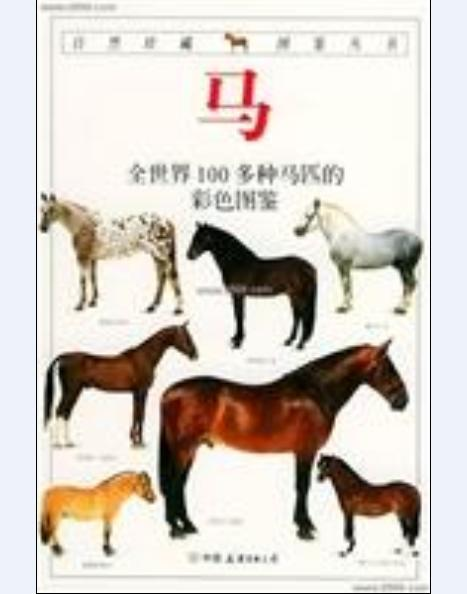 马